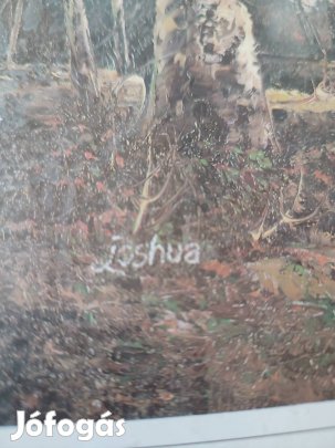 Festmény kép dísztárgy