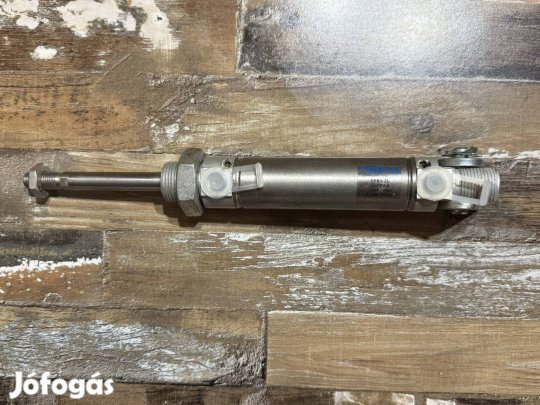 Festo Dsnu-25-50-PPV-A Pneumatikus Munkahenger