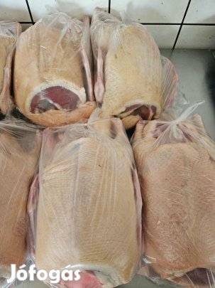 Fiatal tanyasi kacsa