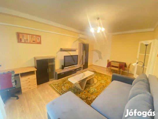 Fiatalos lakás kiadó az Egyetem közelében (Egyetem sugárút)