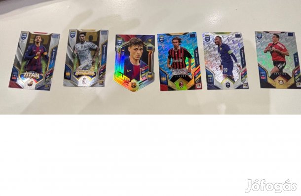 Fifa 365 panini kartyak