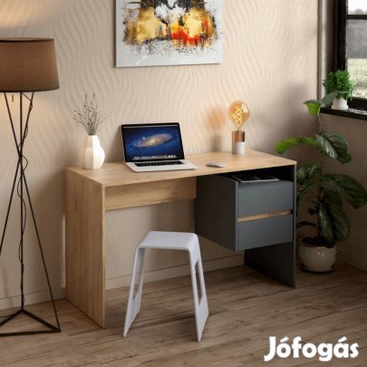 Fiókos íróasztal 125x51x75 cm barna szürke FUR1872-2