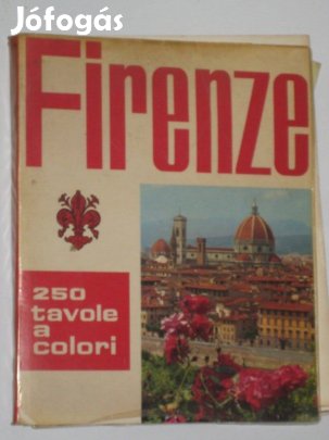 Firenze - guida con 250 tavole a colori