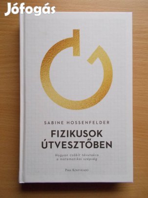 Fizikusok útvesztőben, Sabine Hossenfelder