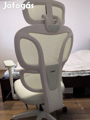 Flexispot Ergonómikus Irodai Forgószék