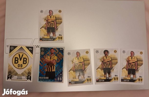 Focikártya Borussia Dortmund