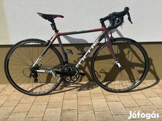 Focus Cayo Országúti 51