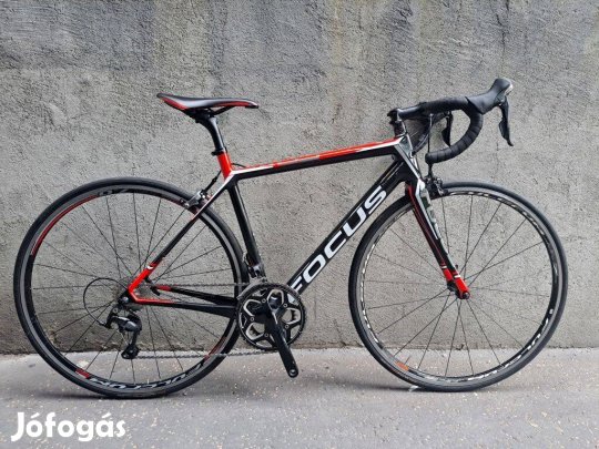 Focus Cayo carbon országúti kerékpár használt S-es