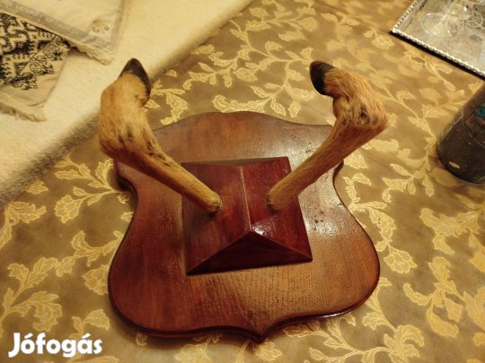 Fogas vadászházba, pincébe eladó!