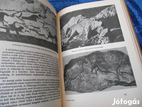 Földes Péter:Az ősidők regénye