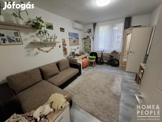 Földszinti lakás a liget mellett eladó! - Szeged