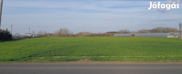 Földterület eladó