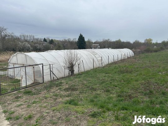 Fóliasátor váz eladó 