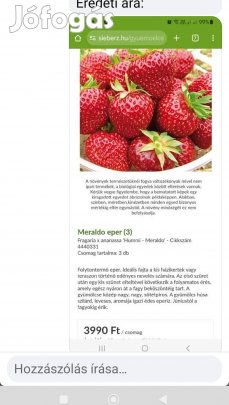 Folytontermő ? palánta.