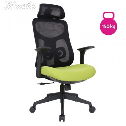 Főnöki forgószék 150 kg F13569