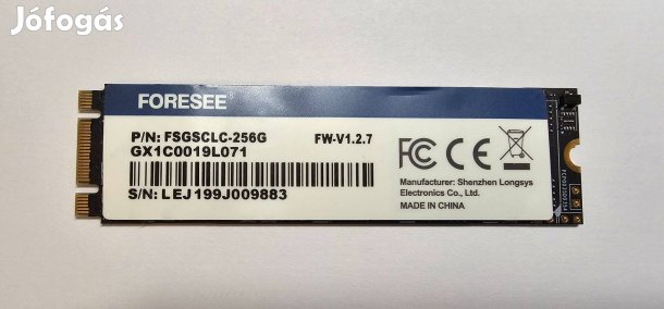 Foresee 256GB M.2 SATA SSD