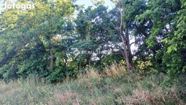 Fóti 22155 nm-es telek eladó
