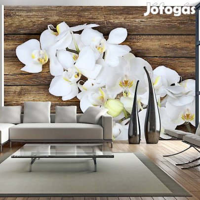 Fotótapéta -Fával ötvözve