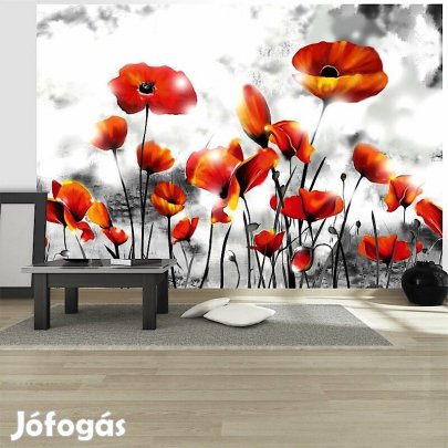 Fotótapéta -Felhők alatt