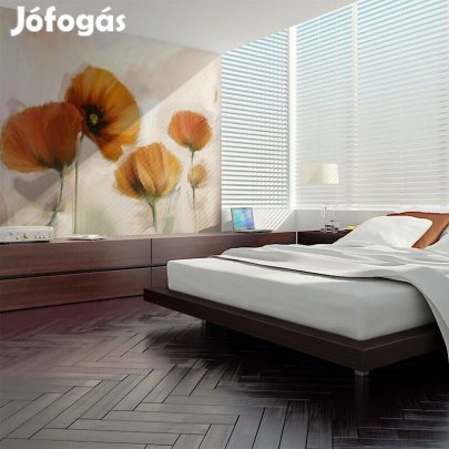 Fotótapéta -Különleges pipacsok