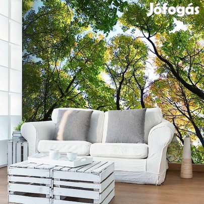 Fotótapéta - A fák árnyékában