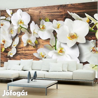 Fotótapéta - A fával összhangban