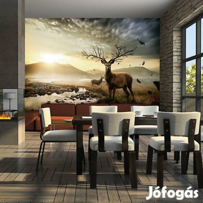 Fotótapéta - A hegyi patak mentén