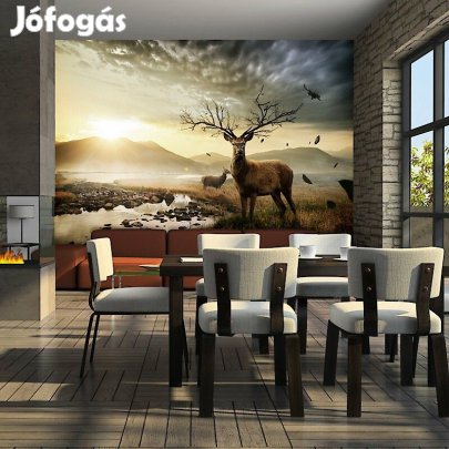 Fotótapéta - A hegyi patak mentén