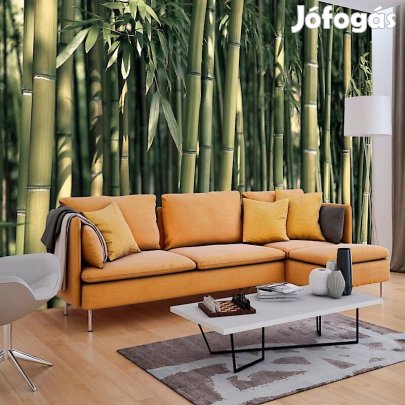 Fotótapéta - A lemenő Nap erdeje 2