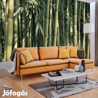 Fotótapéta - A lemenő Nap erdeje 2