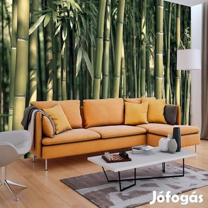 Fotótapéta - A lemenő Nap erdeje 2