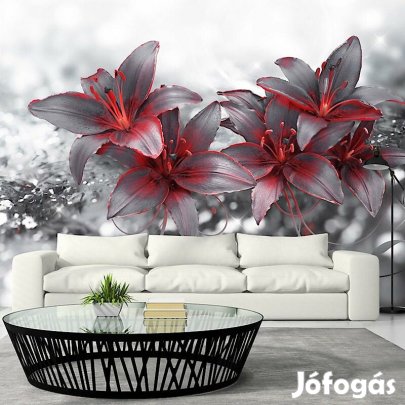 Fotótapéta - A szenvedély árnyéka 1