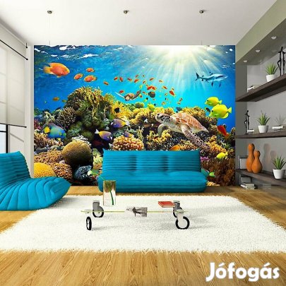 Fotótapéta - A víz alatti napsütésben