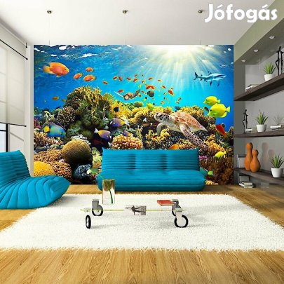 Fotótapéta - A víz alatti napsütésben