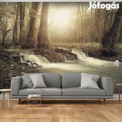 Fotótapéta - Álomszerű erdő 1