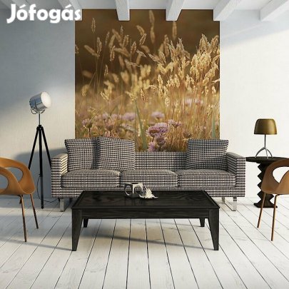 Fotótapéta - Aranykalász