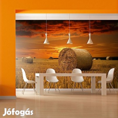 Fotótapéta - Aranyló táj