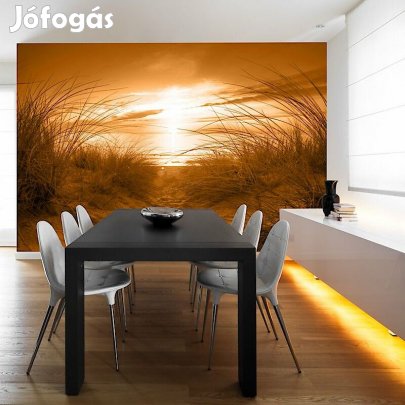 Fotótapéta - Aranypart