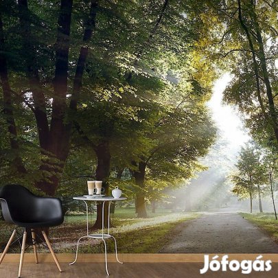 Fotótapéta - Átszűrődő napfény 2