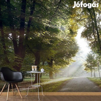 Fotótapéta - Átszűrődő napfény 2