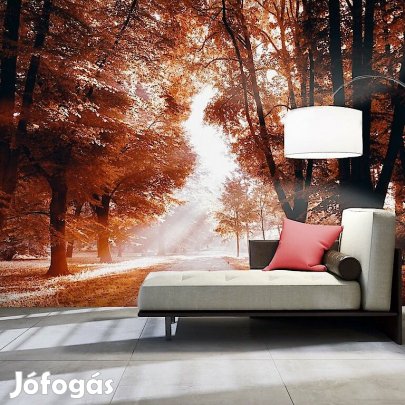 Fotótapéta - Átszűrődő napfény