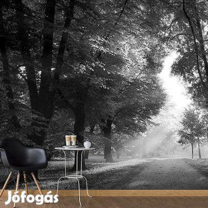 Fotótapéta - Átszűrődő napfény 3