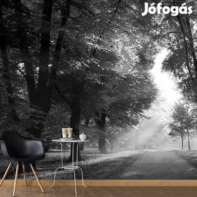 Fotótapéta - Átszűrődő napfény 3