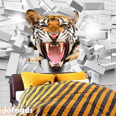 Fotótapéta - Áttörés