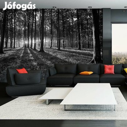 Fotótapéta - Az erdő feketén, fehéren