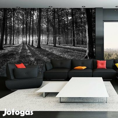 Fotótapéta - Az erdő feketén, fehéren