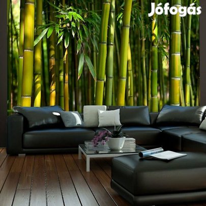 Fotótapéta - Ázsiai bambusz erdő