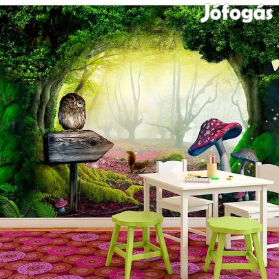 Fotótapéta - Bagolyzug