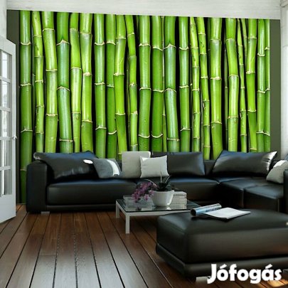 Fotótapéta - Bambusz fali
