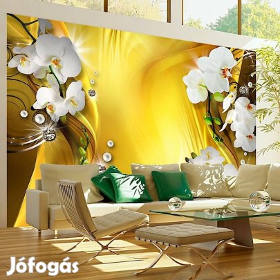 Fotótapéta - Bearanyozva